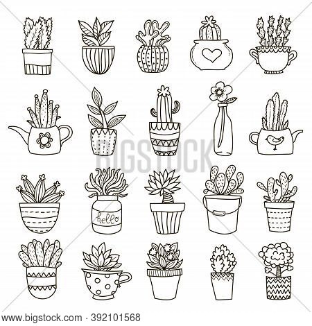 Home And Office Plants In Bough Pots Decorative Icons Set With Black Outlines On Blank Background Ve