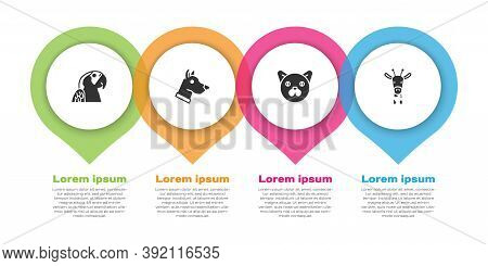 Set Macaw Parrot, Dog Head, Cat And Giraffe. Business Infographic Template. Vector