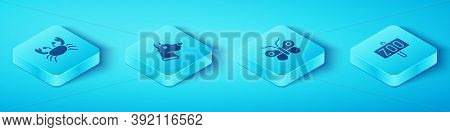 Set Isometric Crab, Dog Head, Zoo Park And Butterfly Icon. Vector