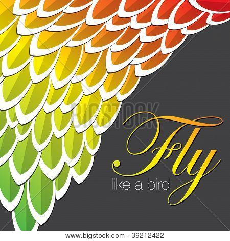 Feather Background