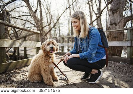 Happy Labradoodle Dog And Woman Outside At The Park