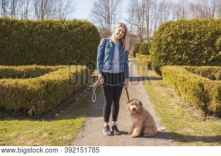 Happy Labradoodle Dog And Woman Outside At The Park