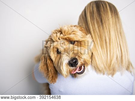 Woman With His Golden Labradoodle Dog Isolated On White Background