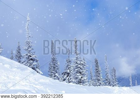 Snowdrifts And Snow-covered Trees In Fluffy Snow, Sky In Clouds, Winter Landscape, Cold Weather. Nat