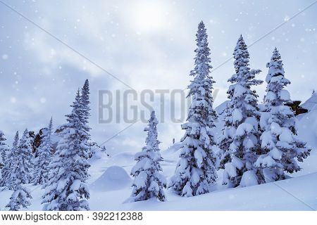 Winter Landscape With Snow Falling, Trees In Snow And Blue Sky. Sheregesh Ski Resort In Russia, Loca