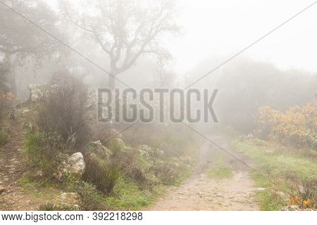 Rural Road Shrouded In Mist Near Montanchez. Spain.