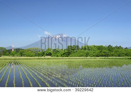Mt.Iwate i duszpasterskiej krajobrazu