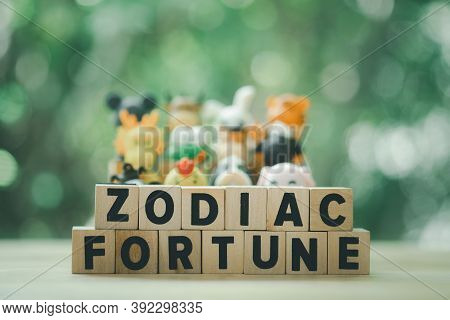 Wooden Block Text Of Zodiac With Text Of Fortune With Blur Background Of Animal In The Chinese Zodia
