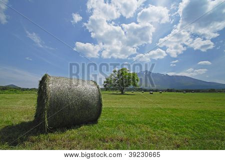 Round Bales Of Straw In The Meadow