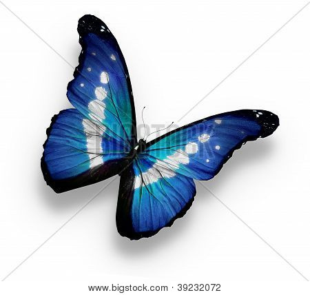 Mariposa Morpho de Helena Rhetenor, aislado en blanco