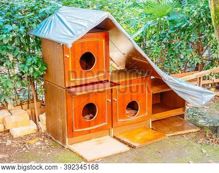 Unusual Homemade Cat Houses Made Of Bedside Tables Covered With A Wooden Canopy Stand In The Yard