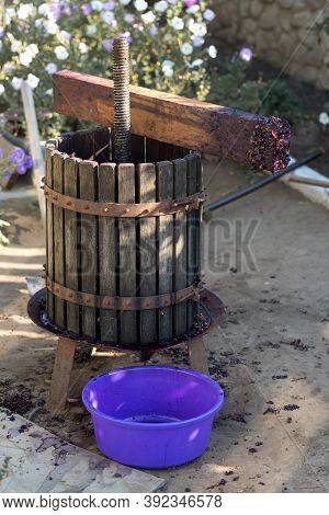 Winepress With Red Must And Helical Screw. Production Of Traditional Italian Wines, Crushing Of Grap