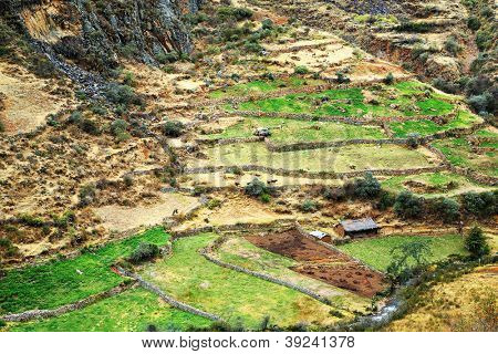 Mountain village Cordiliera Huayhuash, Gennemlæsning, Sydamerika