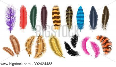 Colored Feathers. Realistic Decorative Fluffy Plumage, 3d Isolated On White Falling Swan, Parrot And