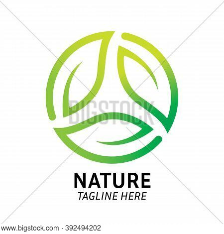 Green Leaf Circle Logo Design Template Vector