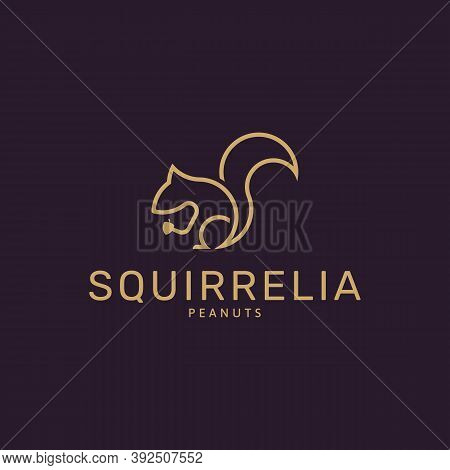 Elegant Squirrel Logo Minimalist. Template Creative Design Vector. Graphic Symbol For Corporate Busi