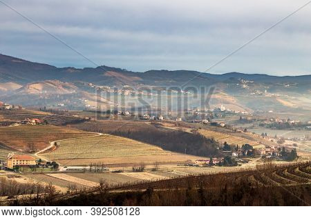Cold Misty Morning In The Vineyards Of Italy