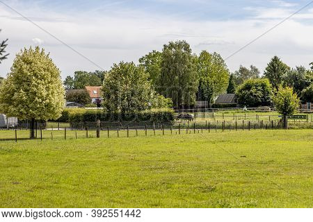 Landscape With Rural Animal Farms Between Fences With Green Grass, Trees And Horses, Sunny Summer Da