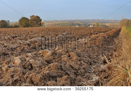 Agricultural Land