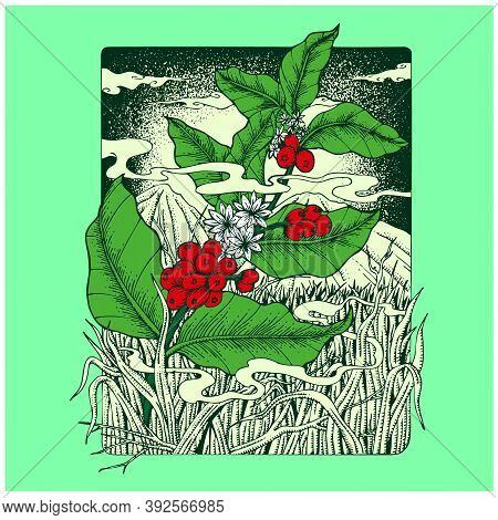 Vector Stock Illustration Of The Degree Of Roasting Of Coffee Beans. Close-up Of Coffee. Concept Of 
