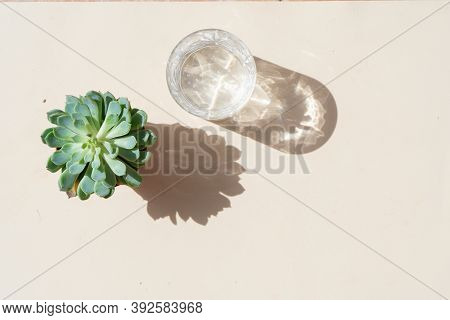 Summer Stationery Scene. Succulent Pland And Glass Of Clear Water On Beige Textured Table Background