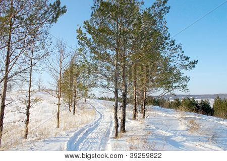Mooie Winter Andscape