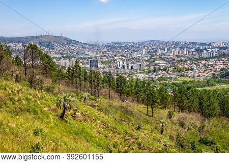 Vegetation And Porto Alegre Cityview From Morro Santana