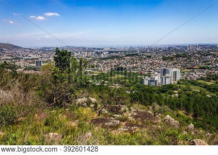 Vegetation And Porto Alegre Cityview From Morro Santana