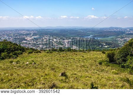 Vegetation And Porto Alegre Cityview From Morro Santana