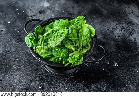 Young Raw Spinach In A Colander. Black Background. Top View