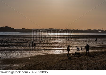 Unrecognizable People On Tidal Mud Flats At Sunset.