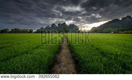 The Scenery Of Khao Nor With A Row Of Green Rice Field In A Beautiful Sunset Time In Nakhon Sawan Pr