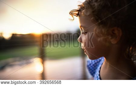 Close-up Portrait Of Small Girl Outside At Dusk, Holiday In Nature Concept.