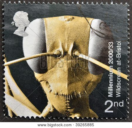 UNITED KINGDOM - CIRCA 2000 : Un timbre imprimé en Grande-Bretagne montre tête de Gigantios descructor (un