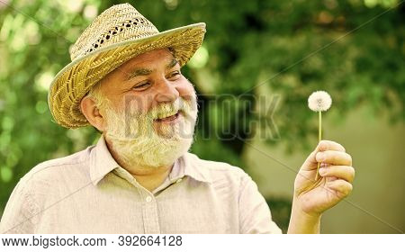 Peace Of Mind. Harmony Of Soul. Peaceful Grandpa Blowing Dandelion. Happy And Carefree Retirement. G