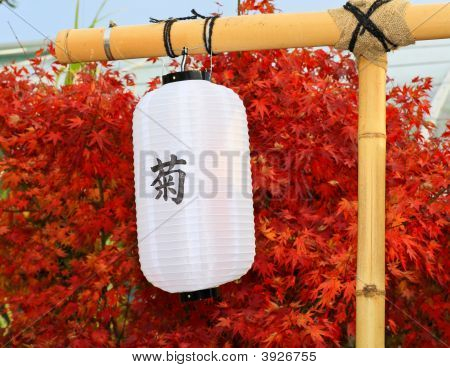 En japansk Kiku Flower Show