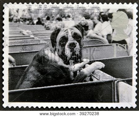 Wielka Brytania - około 2001: Znaczek wydrukowany w Wielkiej Brytanii pokazuje Boxer Dog Show około 2001