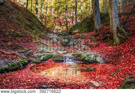 Amazing Autumn Forest Landscape. Little Stream Flowing Into The Woods Between Rocks And Trees. The F