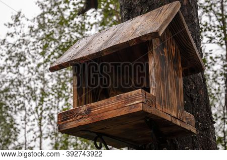 Handmade Wood House For Wild Squirrel On The Tree In The Forest