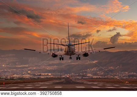 big plane landing at Osaka-Itami International Airport during sunset, Japan