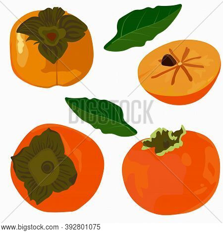 Persimmon Vector Stock Illustration. Set Of Ripe Fruits Orange Sugar Sweet Fruits. Close Up Of Fresh