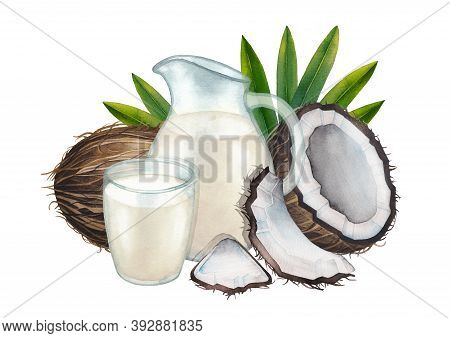 Watercolor Glass And Jug Of The Plant Based Milk Surrounded By Coconuts And Leaves.