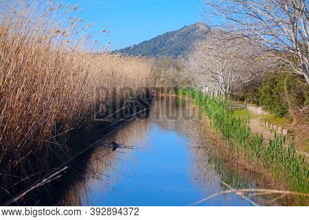 Parc Natural De S'albufera De Mallorca . Natural Park With Water Canal