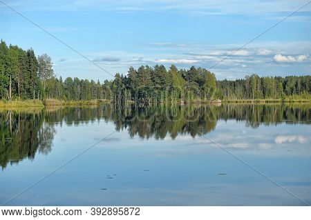 Lake With Trees On The Shore And Reflection In The Water