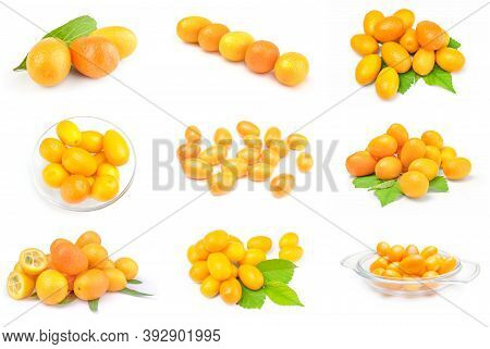 Set Of Cumquats Isolated On A White Background
