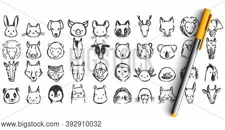 Animals Doodle Set. Collection Of Pencil Pen Ikn Hand Drawn Sketches Templates Patterns Of Elephant 