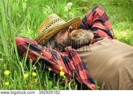 Rest In Countryside. United With Motherland. Eco Environment. Summer Rest. Nature Is My Home. Farmer