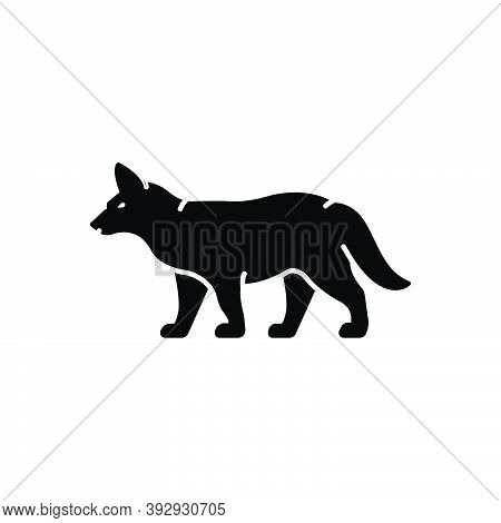 Black Solid Icon For Fox Omnivores Tail Clever Nature Animal Jungle Wildlife