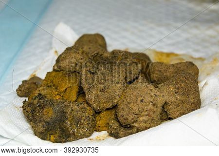Close-up Photo Of Fecal Impaction In A Constipated Cat