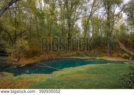 Sulphurous Water Springs In Lavino In Autumn In Abruzzo In Italy